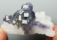 Rare Natural transparent Purple Cube phantom fluorite on Matrix mineral specimen picture