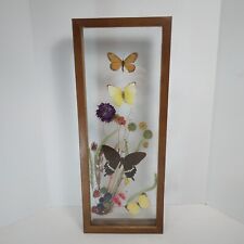 Vtg Real Butterflies Dried Flowers Diorama Taxidermy Wood Frame Wall Art 15.5