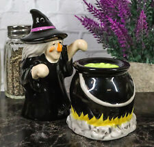 Black Potion Magic Witch And Large Cauldron Pot Hearth Salt Pepper Shakers Set picture