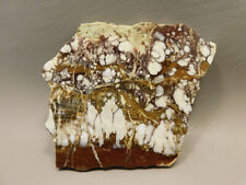Wild Horse Polished Stone Slab Magnesite Arizona Rock #O13 picture