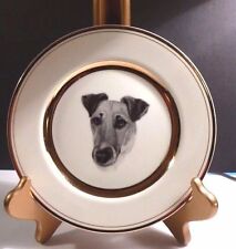 Smooth Fox Terrier 8