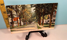 1908 beautiful tree lined Main street Housatonic, Mass postcard. picture