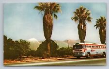 Southern California's Mount Baldy Trailways Bus Vintage Unposted Postcard picture