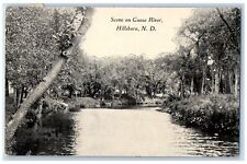 Hillsboro North Dakota ND RPPC Photo Postcard Scenic View On Goose River 1910 picture