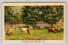 Millen GA-Georgia, Scenic Cow Field General Greetings, Antique Vintage Postcard picture