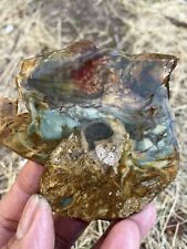 Morrisonite Jasper Slab (Oregon) picture