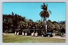 Miami FL-Florida, The Rambler, Fairchild Tropical Garden, Vintage Postcard picture