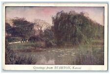 1924 Greetings From Lake River Exterior Bushton Kansas Vintage Antique Postcard picture