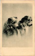 CPA AK Two Dogs DOGS (1387800) picture