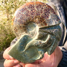 1.38LB Rare Natural Tentacle Ammonite FossilSpecimen Shell Healing Madagas picture