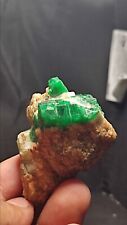 56gram Emerald crystal rough specimen collection peice from Swat Valley Pakistan picture