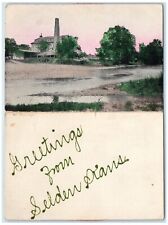 1908 Greetings From Selden Kansas KS, River Scene Fold Out Antique Postcard picture