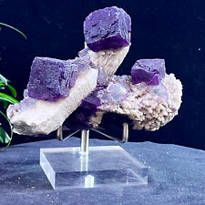 2.4LB Natural Tanzanite Purple Fluorite Tanzanite Coexisting Mineral Roughness picture