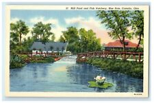 c1940's Mill Pond And Fish Hatchery Blue Mole Castalia Ohio OH Vintage Postcard picture