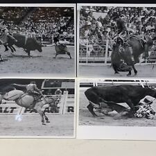 Vintage Rodeo Photos, (4) Photographs Bull Riding Bronco Riding Salt Place Utah  picture