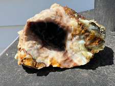 petrified wood rough agatized opalized special chalcedony agate 1lb 14oz display picture
