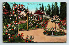 c1928 DB Postcard Vancouver Stanley Park Rose Gardens Flowers picture