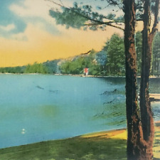 Little Sebago Lake Maine Postcard 1940s Linen North Windham Tree Dock Art B1236 picture