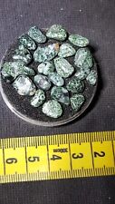 Polished Chlorastrolite Michigan Greenstone great looking gems. picture