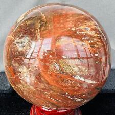 Natural Wood Fossil Decoration Polished Wood Grain Fossil Decor Crystal 4.32LB picture