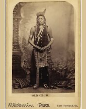 NATIVE AMERICAN INDIAN OLD CROW 8X10 VINTAGE RETRO PHOTO  SEPIA ART picture