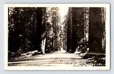 Postcard RPPC California Ukiah CA Redwood Highway Road 1925 Posted picture