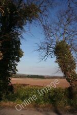 Photo 6x4 Near Ardgye Newton/NJ1663 Two ivy-covered trees by the access  c2011 picture