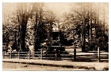 RPPC Pinehurst, Home of Gov. Horace Fairbanks, c. 1920, St. Johnsbury, Vermont picture