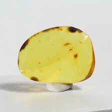 16ct Genuine Dominican Amber Fossil Cabochon Cab Crystal Maybe Blue or Green 03 picture
