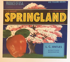Springland Brand Apple Crate Label - L.C. Antles picture