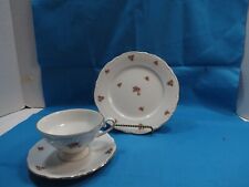 Winterling Mark Leuthen BavariaBONE CHINA PLATE CUP AND SAUCER picture