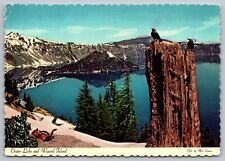 Crater Lake & Wizard Island-Oregon-Clark’s Nutcracker Birds-VTG DEXTER Postcard picture