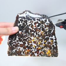 164g Beautiful SERICHO pallasite Meteorite slice - from Kenya C6300 picture