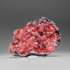 Rhodochrosite on Manganite from N'Chwaning II Mine, South Africa picture