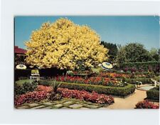 Postcard Spanish Garden & Ghost Tree Lambert Gardens Portland Oregon USA picture