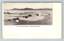 Newport OR-Oregon, Big Creek Beach Vintage Souvenir Postcard picture