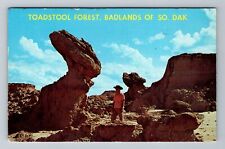 Badlands SD-South Dakota, Toadstool Forest, c1963 Vintage Postcard picture