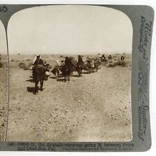Negev Desert Horse Riders Stereoview c1913 Underwood Arabah Palestine Card G605 picture