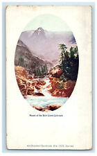 c1905 Mount of the Holy Cross Colorado CO Art Souvenir Syndicate Postcard picture