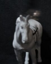 haunted plastic horse spell cast by 13 witches Asteria Anael lust demon powers picture