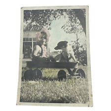 Antique Hand Tinted Photograph Baby with Dog in Wagon 5x7 picture