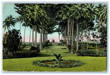 c1910 Man Riding Horse Garden View Greetings from Samoa Antique Postcard picture