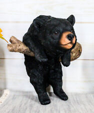 Rustic Western Forest Black Bear Cub Frolic Dangling On Tree Branch Wall Decor picture