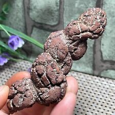 Best Rare Natural dinosaur dung coprolite Poop specimen 103g   88*22*21mm F177 picture