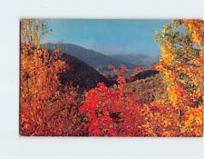 Postcard The Gold of an Autumn Day Blue Ridge Mountains Virginia USA picture