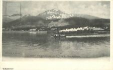 Albertype C-1915 Treadwell Mikes Alaska Postcard undivided 13552 picture