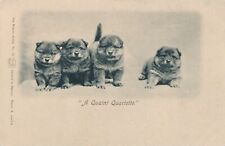 Four Dogs A Quaint Quartette - udb (pre 1908) picture