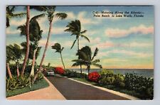 Lake Worth FL-Florida, Motoring Along The Atlantic, Antique, Vintage Postcard picture