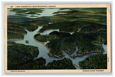1939 Aerial View Of Lake Tahkentick Near Reedsport Oregon OR Vintage Postcard picture