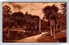 Oakland CA-California, Palm Walk Piedmont Park, Antique, Vintage Postcard picture
